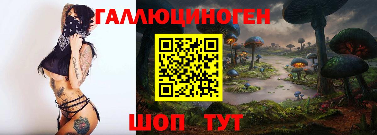 Галлюциногенные грибы MAGIC MUSHROOMS  Вход с VPN  Галлюциногенные грибы мухоморы  хочу   Кудрово 